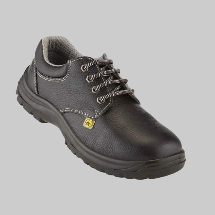 ESD Footwear Exporter in Bangalore